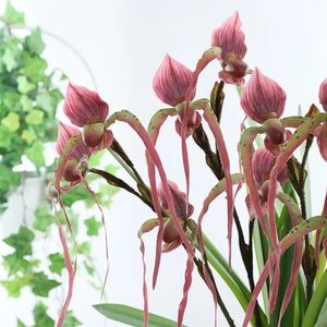 Artificial Flowers Big Head Fa Silk Slipper Orchid
